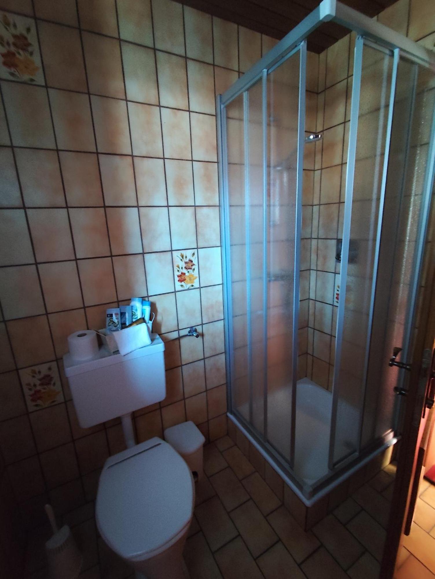 Privatzimmer Pendl Abtenau Zewnętrze zdjęcie